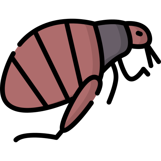 Fleas